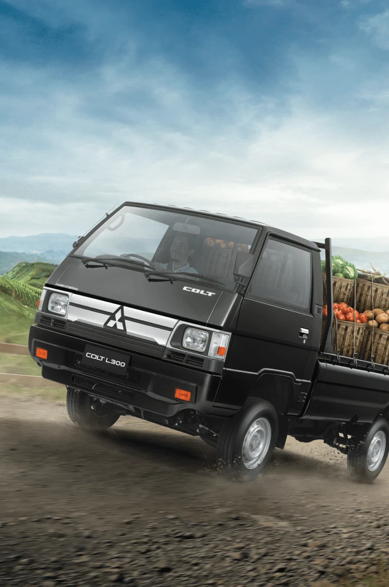 mitsubishi l300