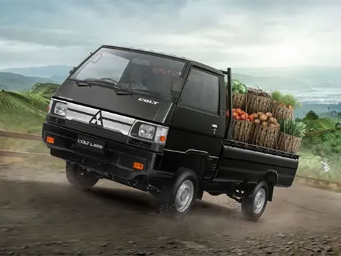 L300
